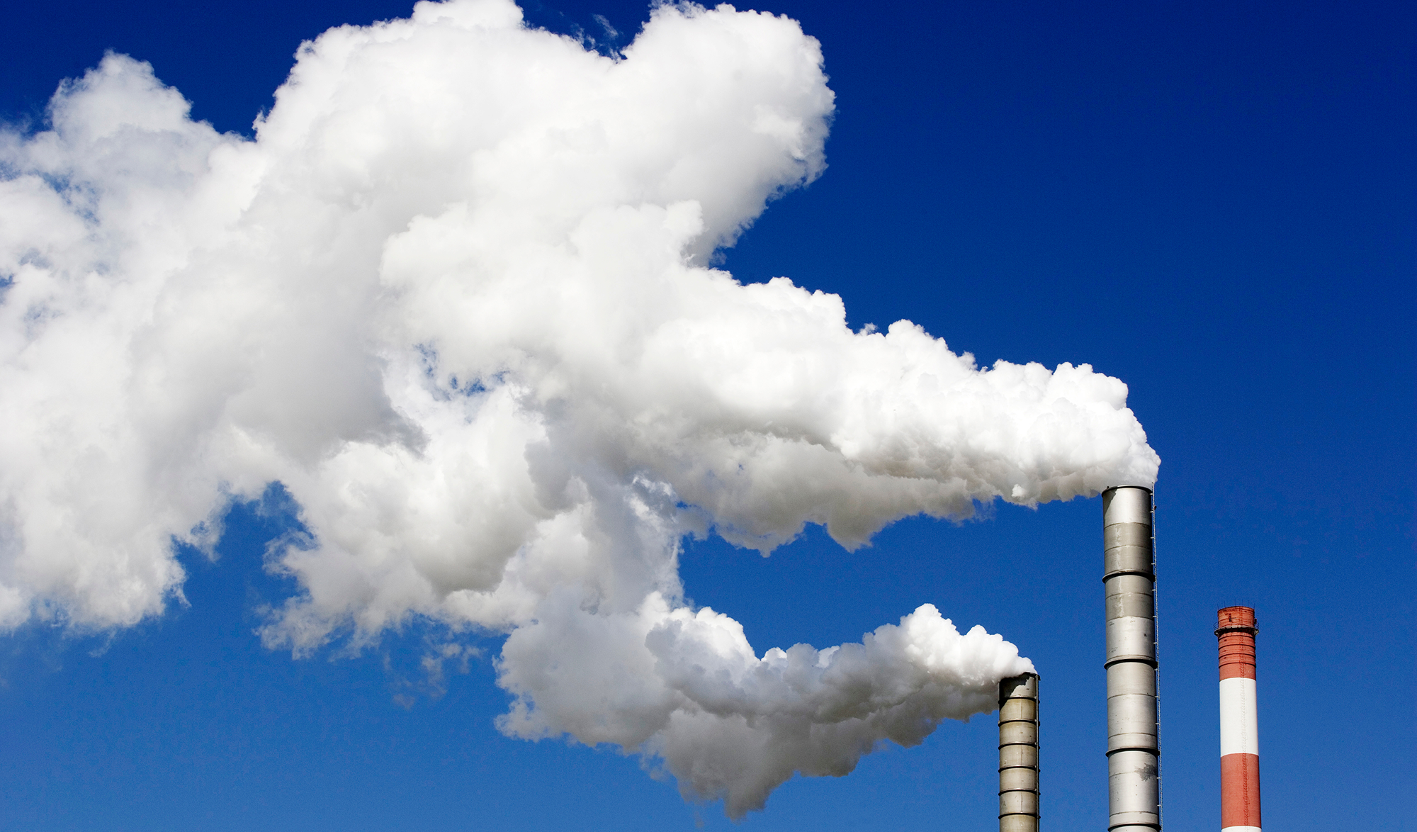 Plant emitting smoke