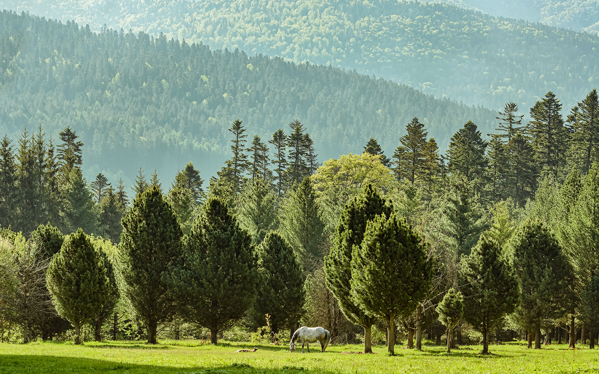 CCU 솔루션 메인 배경